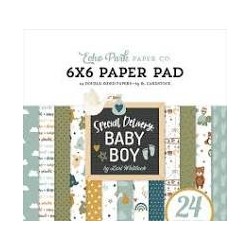 Colección - Special Delivery Baby Boy